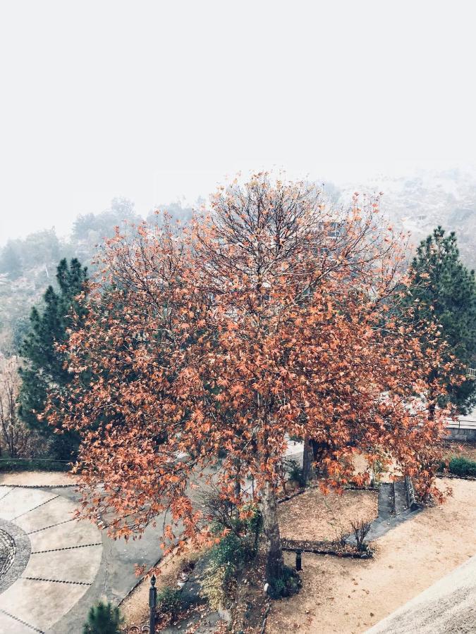 Rock City Resort Mingora Kültér fotó