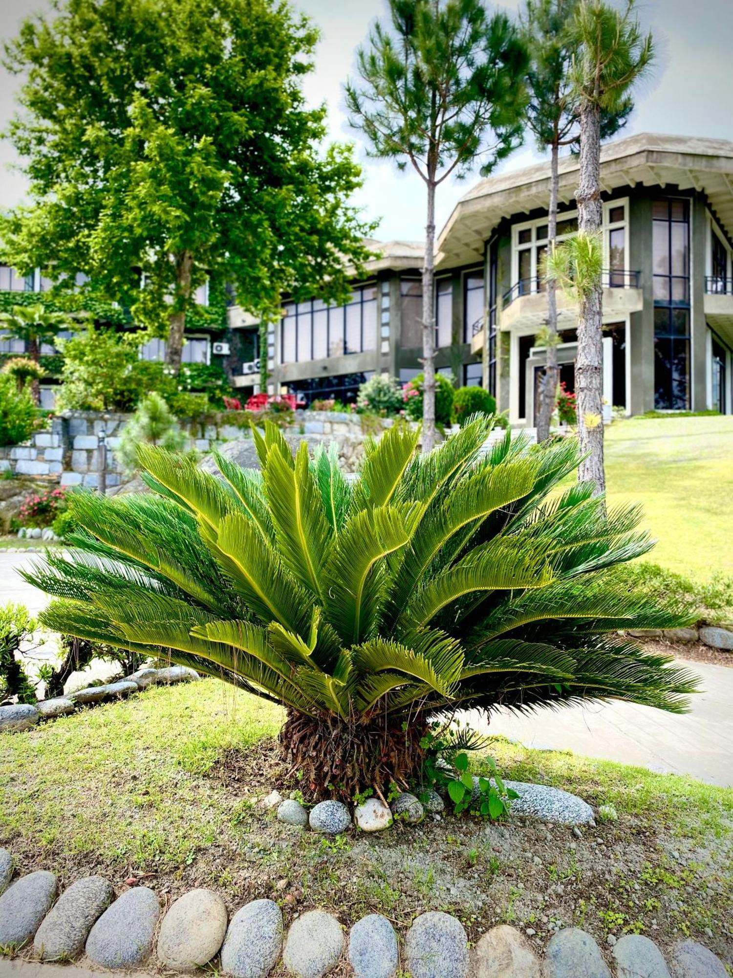 Rock City Resort Mingora Kültér fotó